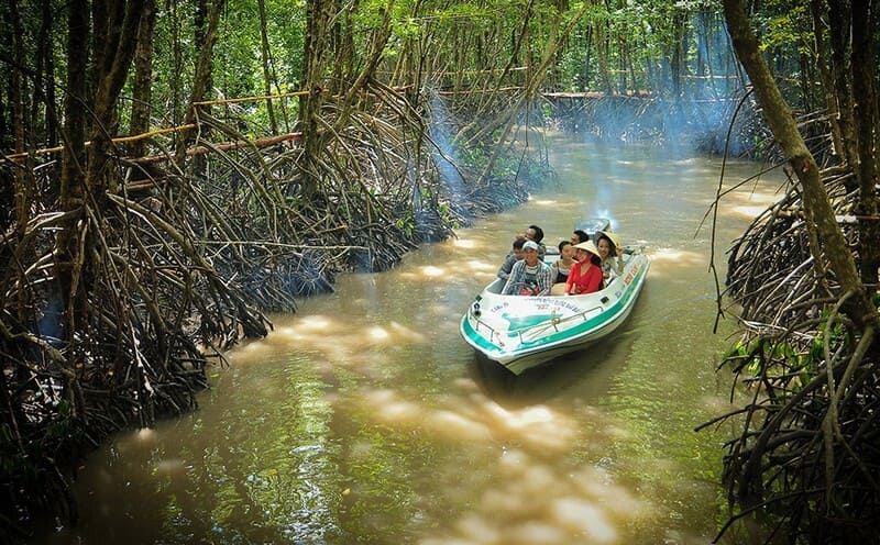 Tháng 11 đến tháng 04 là thời điểm khám phá rừng ngập mặn Cà Mau lý tưởng