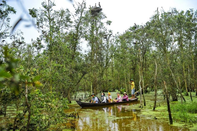 Vườn quốc gia Tràm Chim bảo tồn nhiều loại động vật quý hiếm