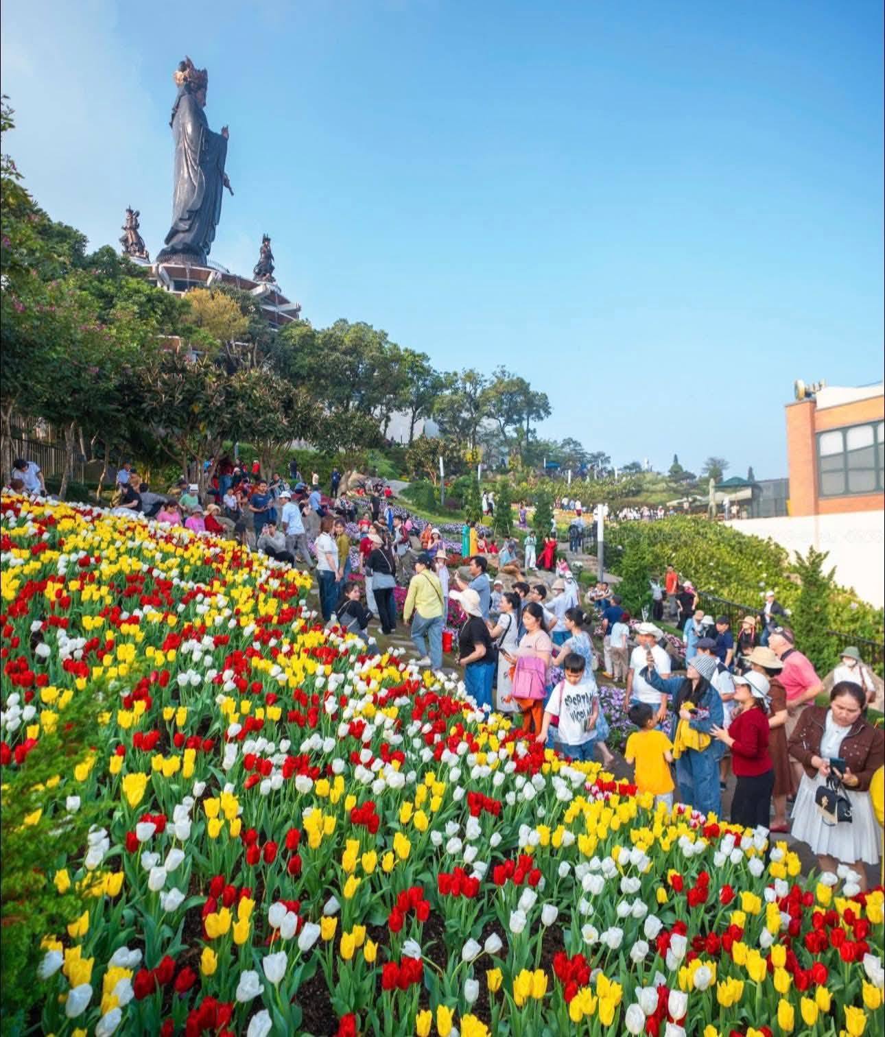 Lễ Hội Hoa Tulip Núi Bà Đen - Gợi Ý Địa Chỉ Thuê Xe Uy Tín