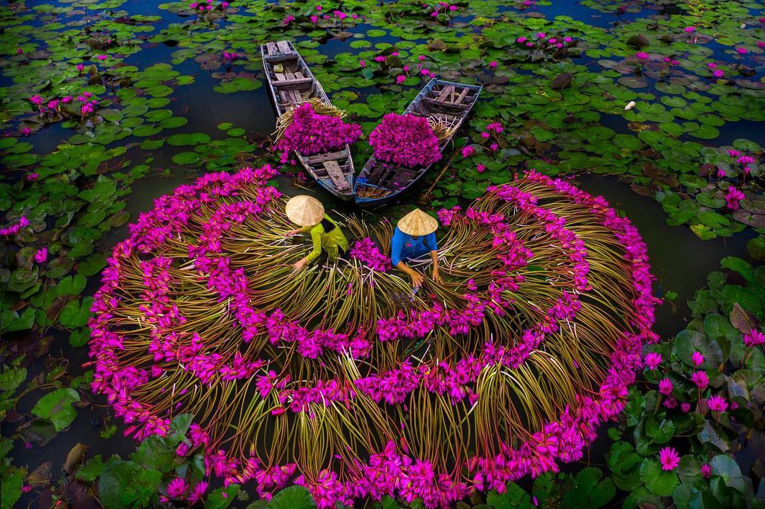 Thuê Xe Du Lịch Cần Thơ Đi miền Tây Có Rẻ Hơn Đi Tour Không?